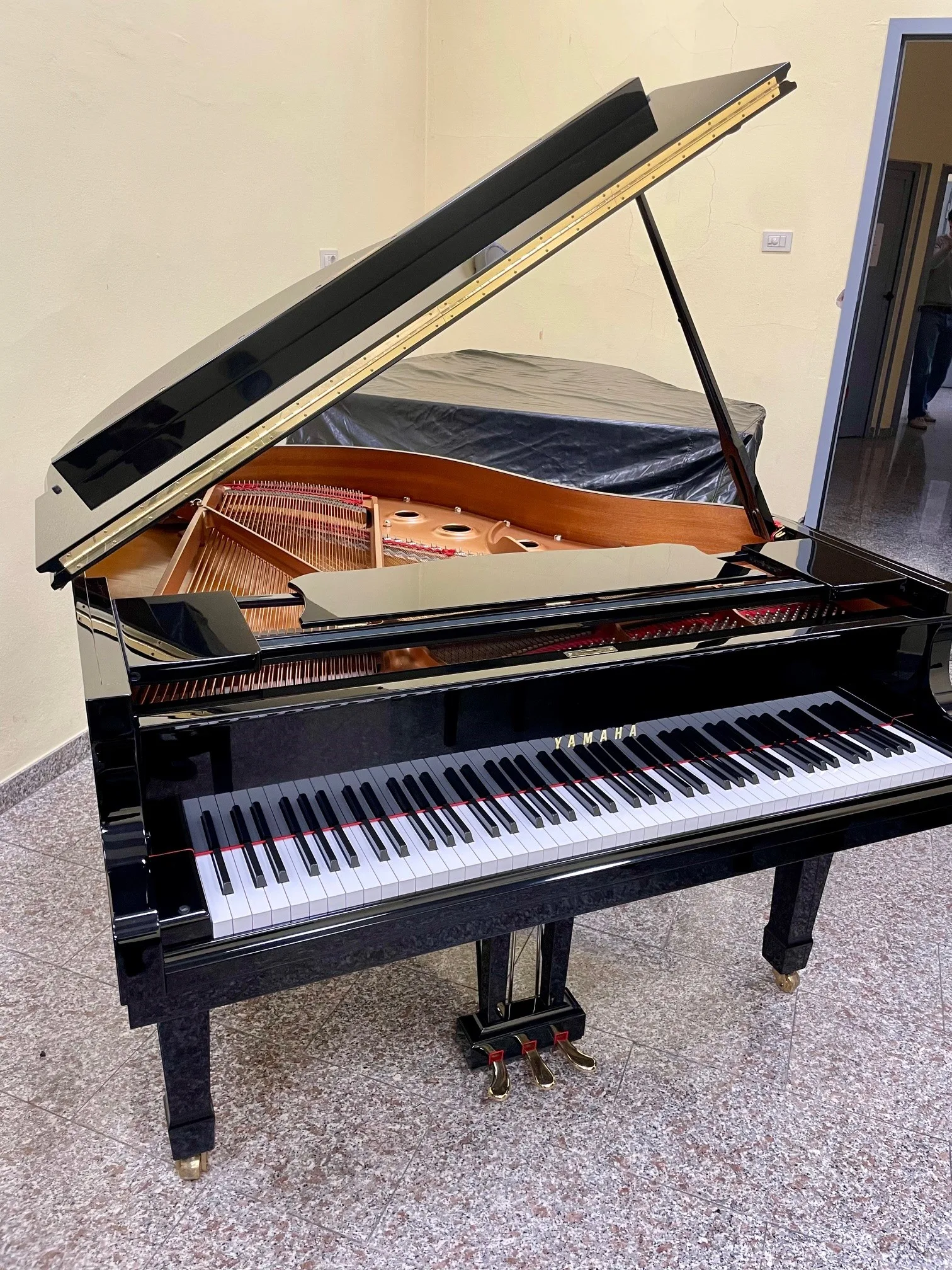 Yamaha C1L